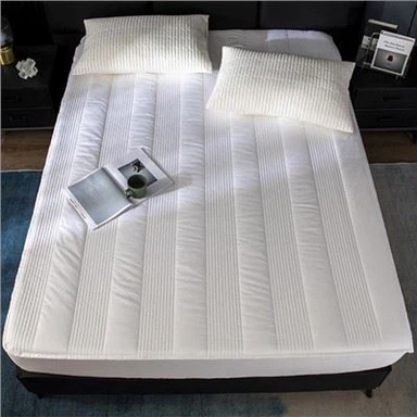 Pelindung Kasur Kasur Organik